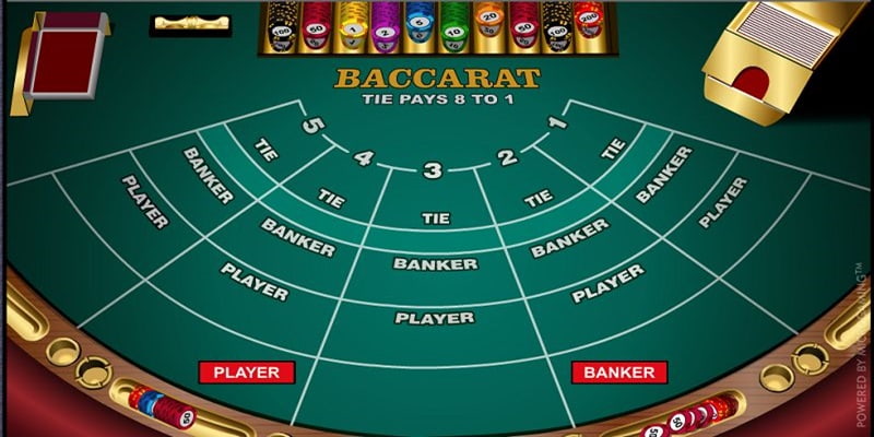 Các thuật ngữ cơ bản trong luật chơi baccarat